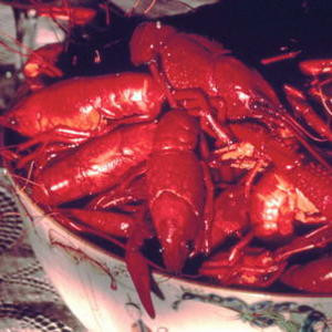 Cangrejos De Río Hervidos