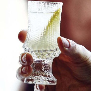 Van Holten's Pickle Sour Sis 290G