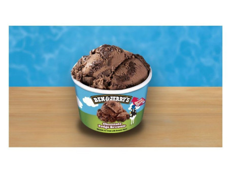 Ben & Jerry's Choc Fudge Brownie 100 Ml