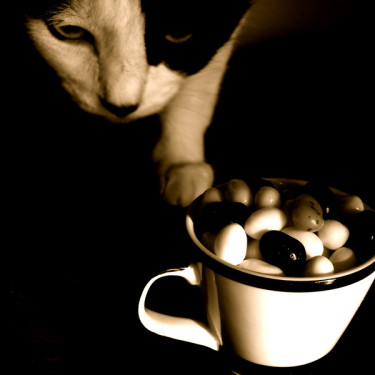 Jelly Belly 10 Flav Bolsa Surtida 28G