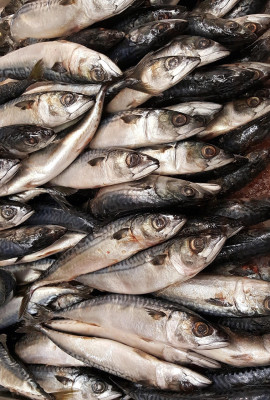 Sandwich Au Filet Frit