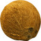 Whole Coconut