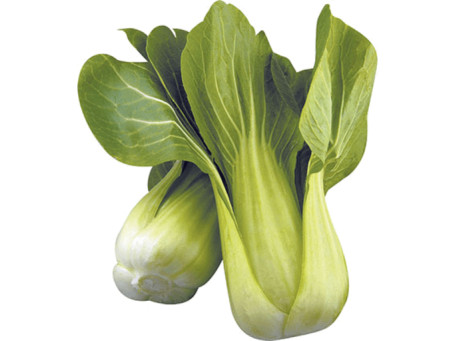 Bok Choi
