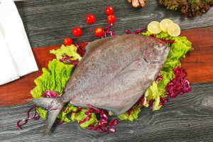 Ensalada De Atún Albacora Blanco