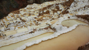 Gigante 2 Sabores (12 Piezas)