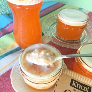 Regular Sunkist No Sugar