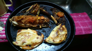 Globe Bay 21/5W 25X50Mm Bl2