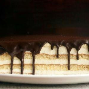 Tarte À La Crème De Boston De Casey 4Oz