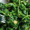Spinaci Saltati