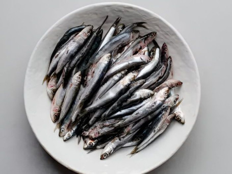 Anchois