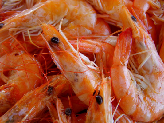 Gambas Al Ajillo