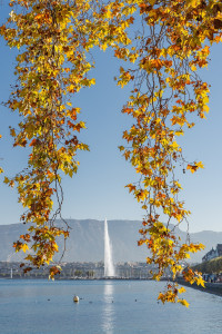 Media Botella De Agua
