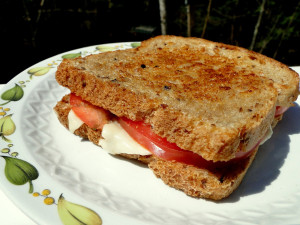 Sandwich Grillé