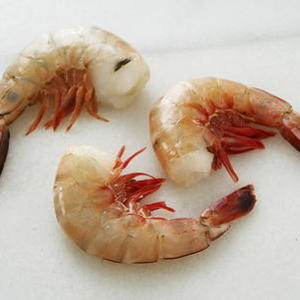 Criollo De Camarones