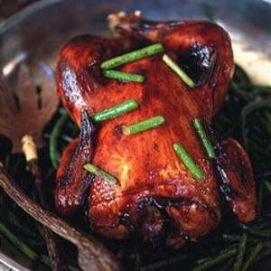 Spécial Déjeuner Au Poulet Teriyaki