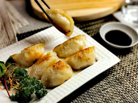 Dumplings Gyoza