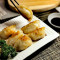 Dumplings Gyoza