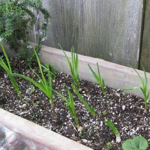 Inspección Multipunto Integral