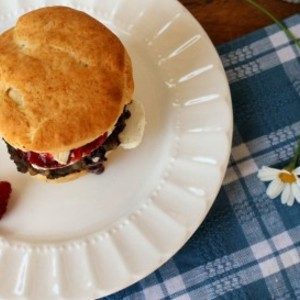 Biscuit À La Gelée