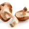 Champiñones Shiitake